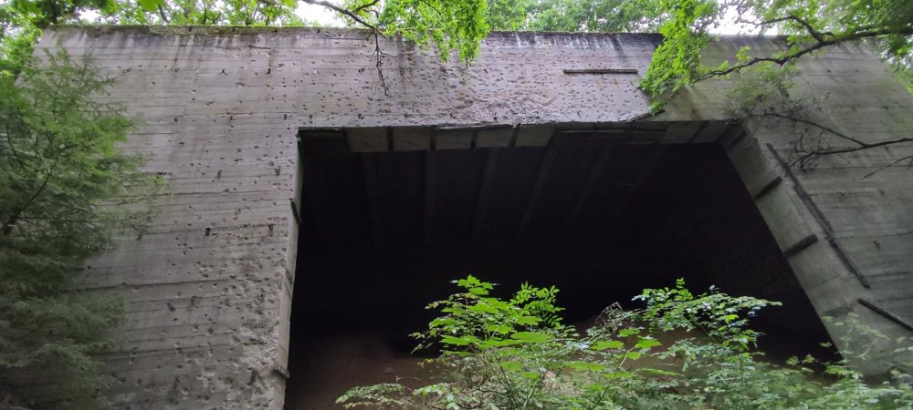 Разведка в лесу - неожиданная находка. 28 июля 2023 