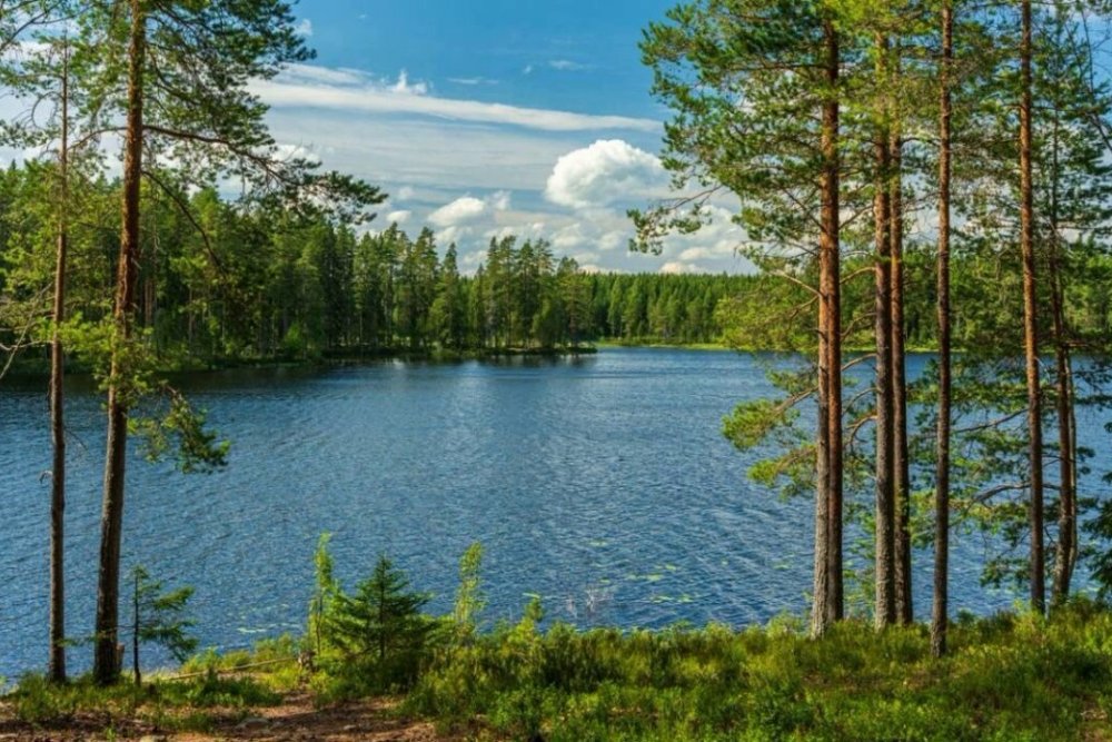 Все природные парки Калининградской области в одной подборке
